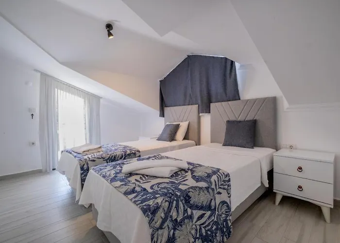 Asrin 别墅 费特希耶